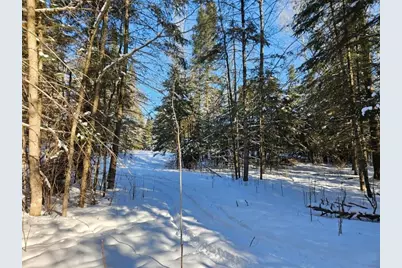 21601 300th Street, Bagley, MN 56621 - Photo 74