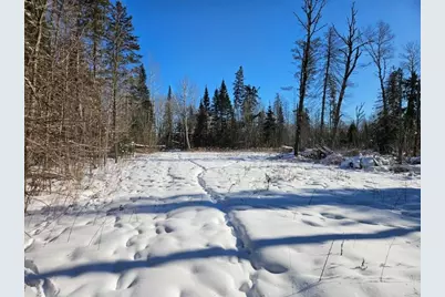 21601 300th Street, Bagley, MN 56621 - Photo 76