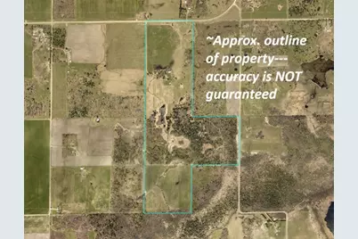 21601 300th Street, Bagley, MN 56621 - Photo 4