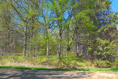 Tbd Plum Drive, Browerville, MN 56438 - Photo 2