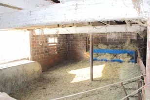 10142 225th St, Silver Lake, MN 55381 - Photo 36