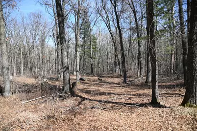 38970 Odin Court, Browerville, MN 56438 - Photo 4