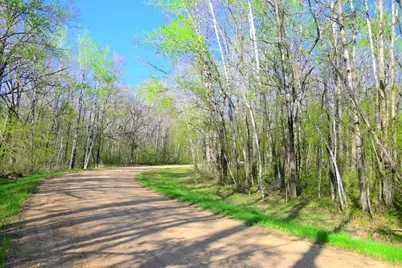 27152 Ode Circle, Browerville, MN 56438 - Photo 2