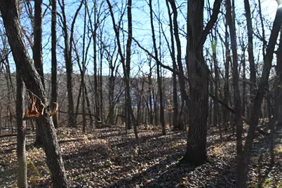 Tbd 392 Street, Fawn Lake Township, MN 56438 - Photo 6