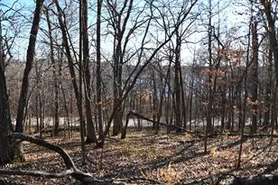 Tbd 392 St, Fawn Lake Township, MN 56438 - Photo 1