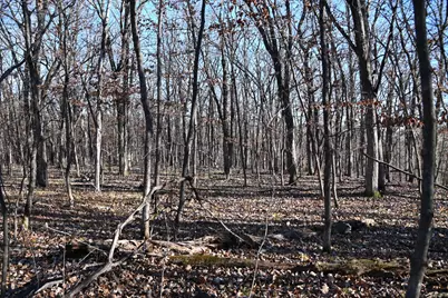 Tbd 392 Street, Fawn Lake Township, MN 56438 - Photo 8