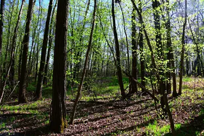 39924 Oriole Court, Browerville, MN 56438 - Photo 16