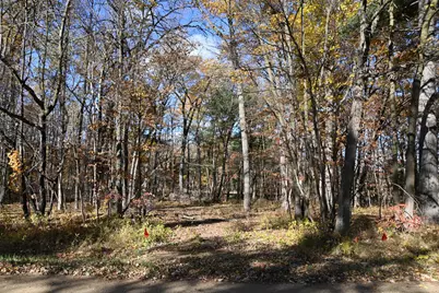 40889 Penelope Loop, Browerville, MN 56438 - Photo 2