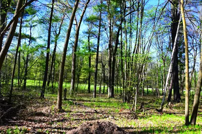 40889 Penelope Loop, Browerville, MN 56438 - Photo 14