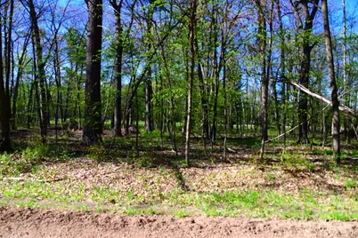40889 Penelope Loop, Browerville, MN 56438 - Photo 12