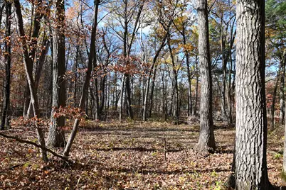 40889 Penelope Loop, Browerville, MN 56438 - Photo 6