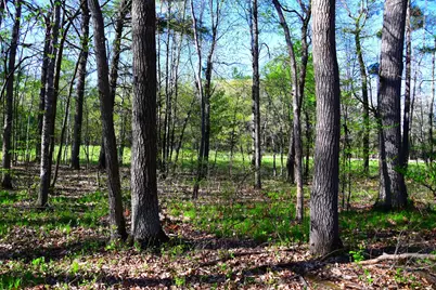 40889 Penelope Loop, Browerville, MN 56438 - Photo 16