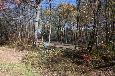 39884 Pine Island Pt Drive, Browerville, MN 56438 - Photo 2