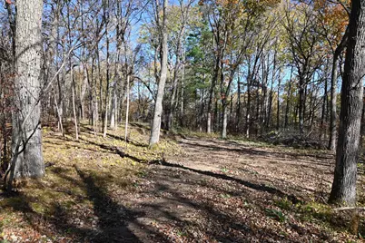 39884 Pine Island Pt Drive, Browerville, MN 56438 - Photo 6