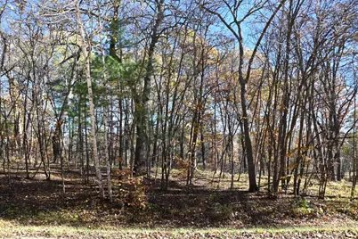 39884 Pine Island Pt Drive, Browerville, MN 56438 - Photo 10