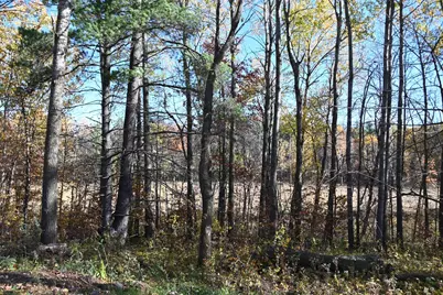 39906 Pine Island Pt Drive, Browerville, MN 56438 - Photo 10