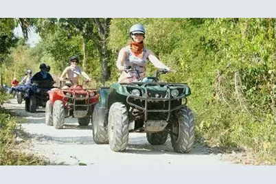 39906 Pine Island Pt Drive, Browerville, MN 56438 - Photo 42