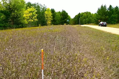 Tbd Oak Drive, Browerville, MN 56438 - Photo 8