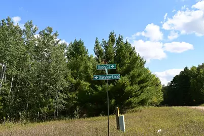 Tbd Oak Drive, Browerville, MN 56438 - Photo 16