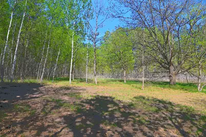 Tbd Poplar Lane, Browerville, MN 56438 - Photo 4