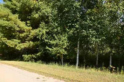 Tbd Poplar Lane, Browerville, MN 56438 - Photo 8