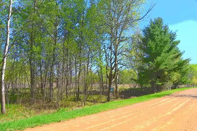 Tbd Poplar Lane, Browerville, MN 56438 - Photo 6