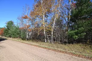 Tbd Pacer Loop, Browerville, MN 56438 - Photo 1