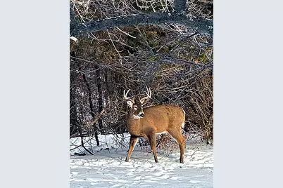 17531 County 41 Boulevard, Red Wing, MN 55066 - Photo 104