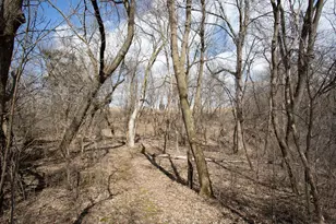 17531 County 41 Blvd, Red Wing, MN 55066 - Photo 76