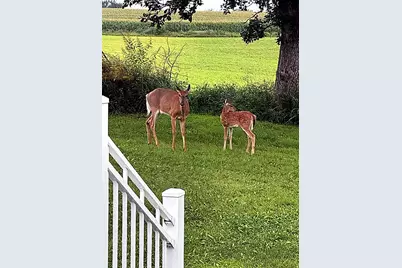 17531 County 41 Boulevard, Red Wing, MN 55066 - Photo 100