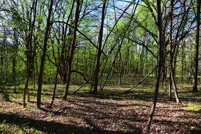 28329 Orchard Drive, Browerville, MN 56438 - Photo 16