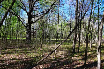 28329 Orchard Drive, Browerville, MN 56438 - Photo 22