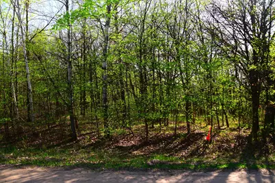 28329 Orchard Drive, Browerville, MN 56438 - Photo 10