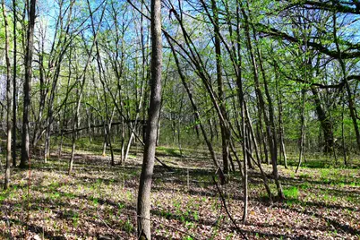 28329 Orchard Drive, Browerville, MN 56438 - Photo 14