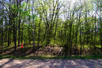 28329 Orchard Drive, Browerville, MN 56438 - Photo 2