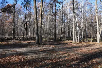 27537 Ode Circle, Browerville, MN 56438 - Photo 6