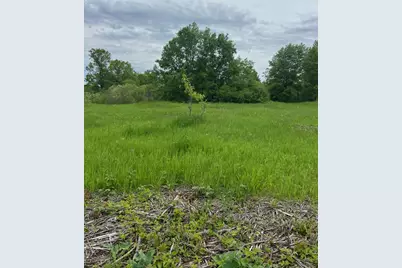 Tbd Coneflower Drive SW, Pine River, MN 56474 - Photo 2