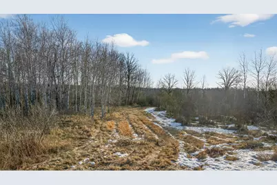 Tbd Coneflower Drive SW, Pine River, MN 56474 - Photo 10