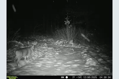 Tbd Coneflower Drive SW, Pine River, MN 56474 - Photo 18