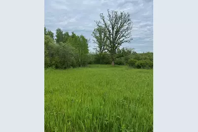 Tbd Coneflower Drive SW, Pine River, MN 56474 - Photo 1