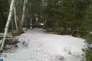 3031 Black Bay Rd, Cook, MN 55723 - Photo 32