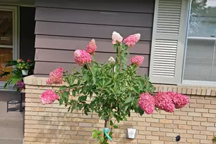 352 Cimarron Rd, Apple Valley, MN 55124 - Photo 88