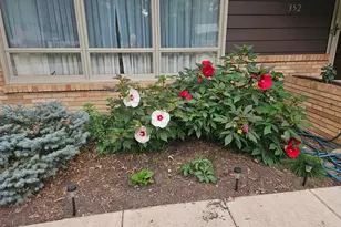 352 Cimarron Rd, Apple Valley, MN 55124 - Photo 86