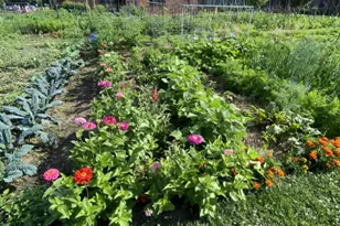 965 Larpenteur Ave W, Roseville, MN 55113 - Photo 24