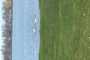 2005 12th St, Comstock, WI 54826 - Photo 36