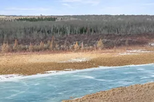 9815 County 8 NE, Federal Dam, MN 56641 - Photo 1