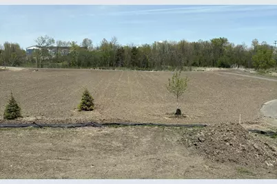 907 Harvest Trail, Buffalo, MN 55313 - Photo 2
