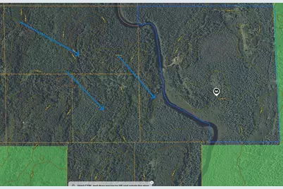 0 Forest Rd, Babbitt, MN 55706 - Photo 2