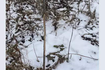 27Xx 320th Avenue, Brook Park, MN 55007 - Photo 32