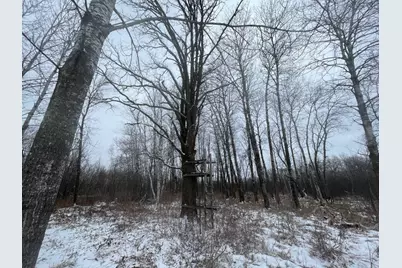 27Xx 320th Avenue, Brook Park, MN 55007 - Photo 30